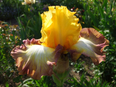 2020_0221Mai210049.JPG