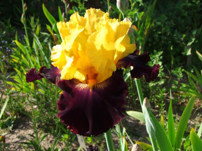 2020_0221Mai210062.JPG