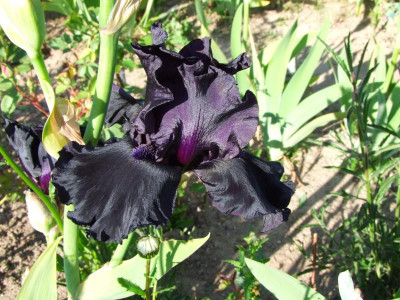 2020_0221Mai210068.JPG