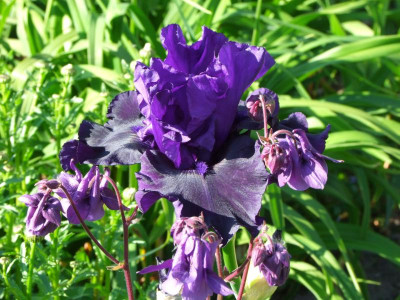 2020_0221Mai210096.JPG