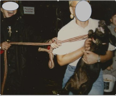 Ti Wutz1.JPG