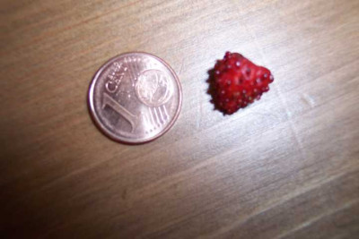 K640_100_4080.JPG