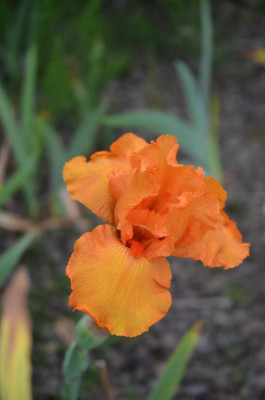 D5974.JPG