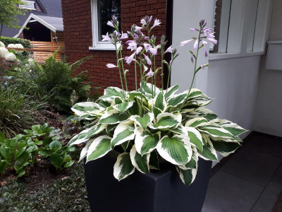20190717_105708.jpg