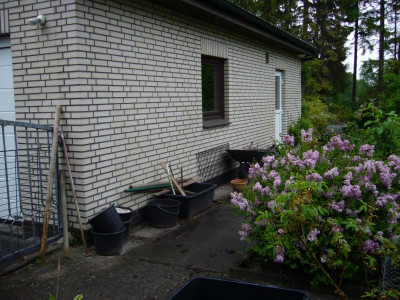 Garagenwand 1.JPG