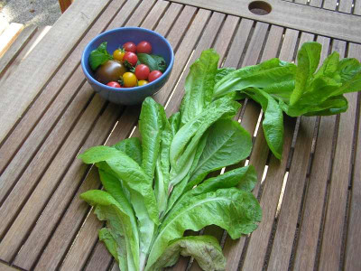 salat1308.jpg