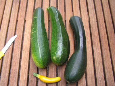 zucchini1408.jpg