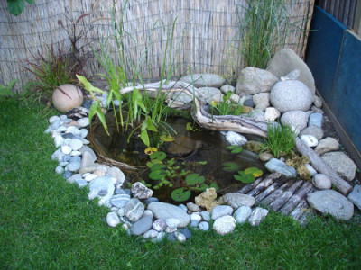 teich14.08.jpg