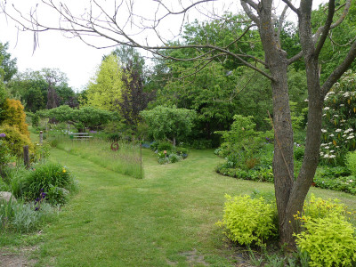 2020-05-22 Garteneinblick 1.jpg