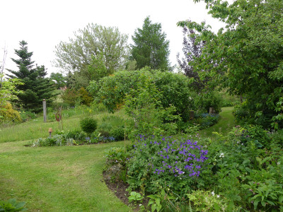 2020-05-22 Garteneinblick 3.jpg