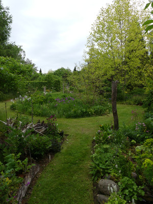 2020-05-22 Garteneinblick 7.jpg