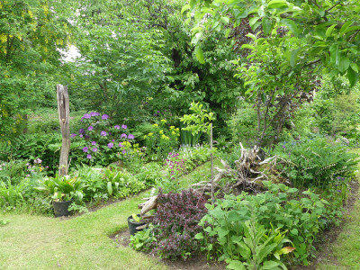 2020-05-22 Garteneinblick 8.jpg