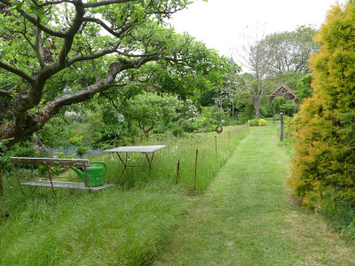 2020-05-22 Garteneinblick 9.jpg