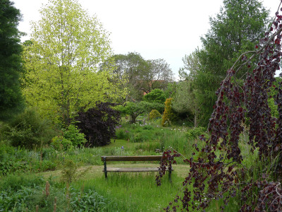 2020-05-22 Garteneinblick 13.jpg