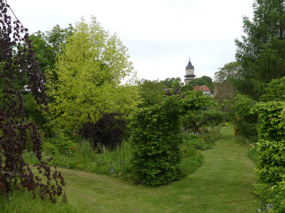 2020-05-22 Garteneinblick 15.jpg