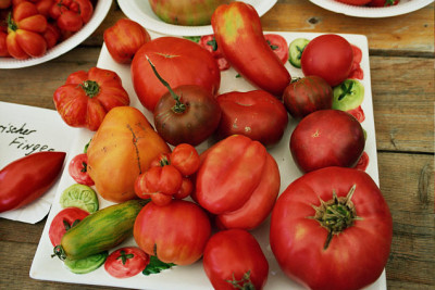 tomaten_2006_1_016.jpg