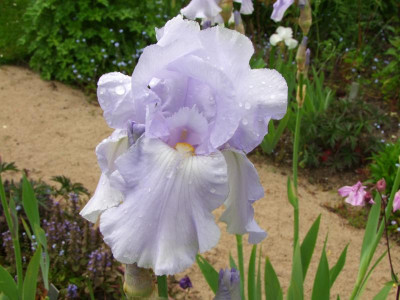 2020_0223Mai230007.JPG