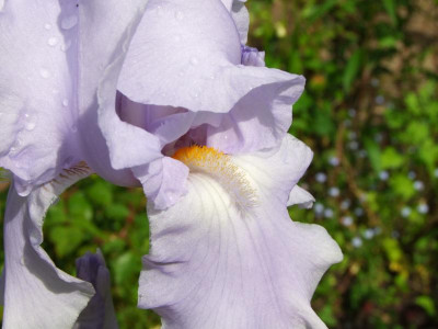 2020_0223Mai230125.JPG