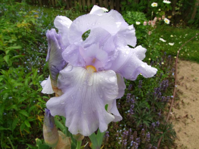 2020_0223Mai230009.JPG