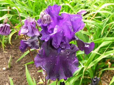 2020_0223Mai230026.JPG