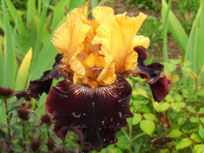 2020_0223Mai230036.JPG