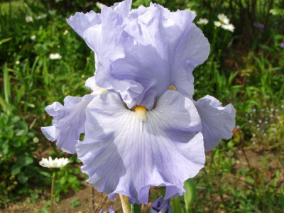 2020_0223Mai230054.JPG