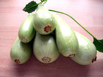 ZucchiniErnte.JPG