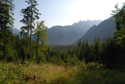 almsee_kat_3.jpg