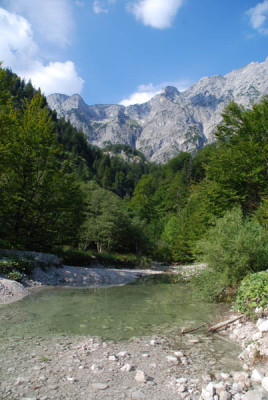almsee_kat_7.jpg