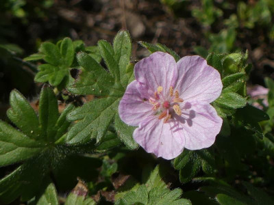 P1070310.JPG