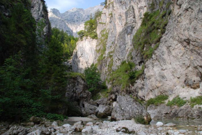 almsee_kat_8.jpg