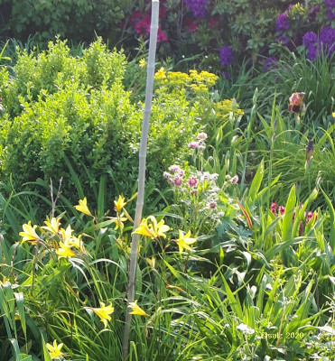 Lichtspiele H_minor 2020.jpg