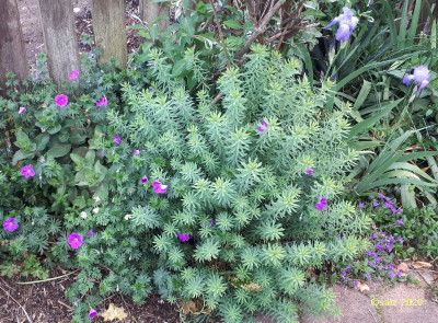 Problemecke im Griff 2020.jpg