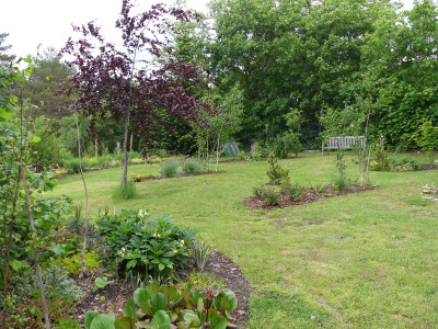 2020-05-25 Birkenhain 1.jpg