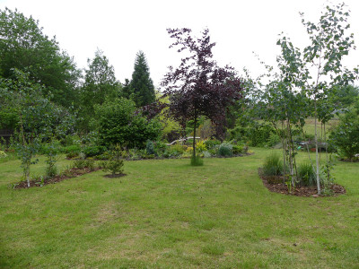 2020-05-25 Birkenhain 6.jpg