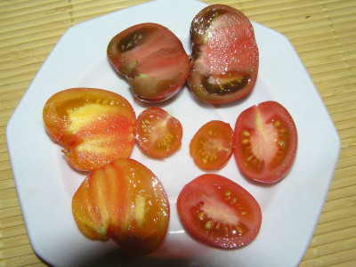tomaten1408.jpg