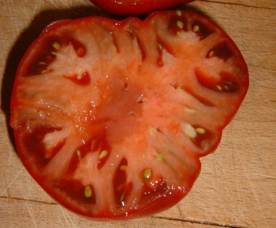 Tomate_blseaman_04_cut.jpg
