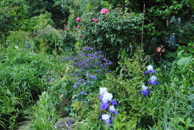 DSC_0695.JPG