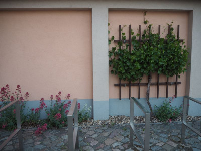 Schlosshof 2 26.5.20 ue.JPG