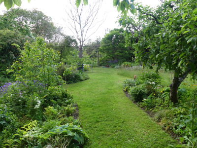 2020-05-26 Garteneinblick 7.jpg