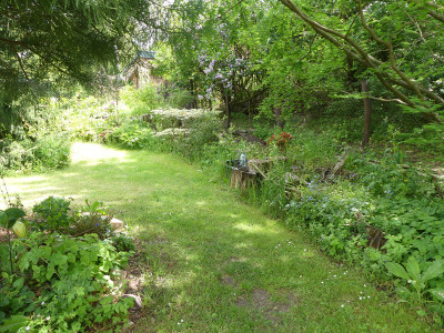 2020-05-26 Garteneinblick 1.jpg