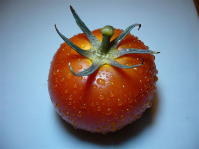 16.08.2007.3.JPG