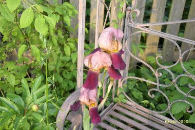 Sitznachbarn Mai 2020.jpg