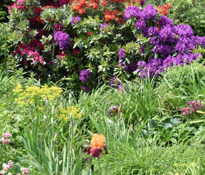 Farbpionier 2020.jpg