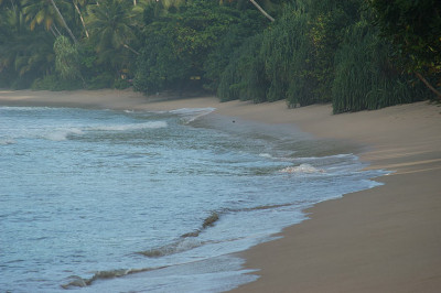 070406_mirissa_strand.jpg