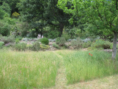09 Kräutermauer Wiese 20200529_01.jpg