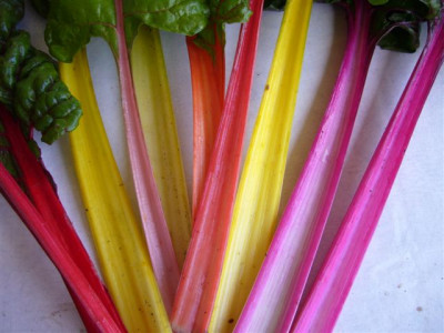 18.08.2007.0.JPG