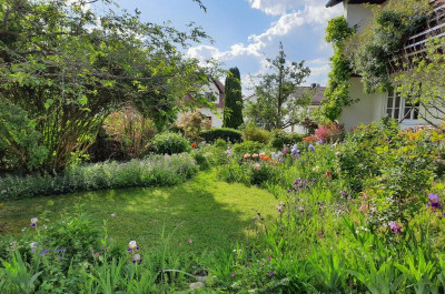 2020-05-28 Garten.jpg