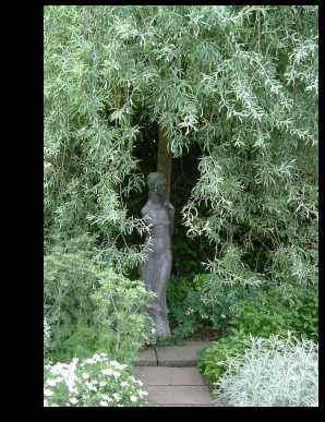 PyrusSissinghurst_dogwood.jpg