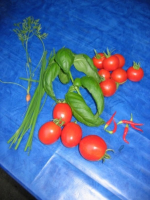 Ernte180807.JPG